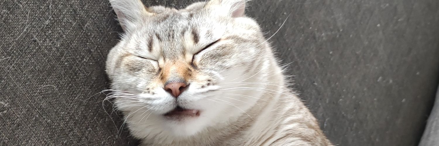 Tshado_'s profile banner image