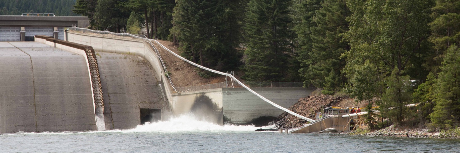 Whooshh Innovations banner