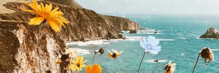 meris93's profile banner image