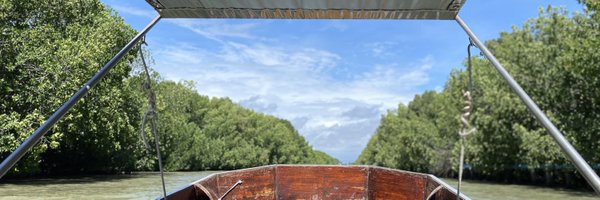 Hungrybearz0502 Profile Banner