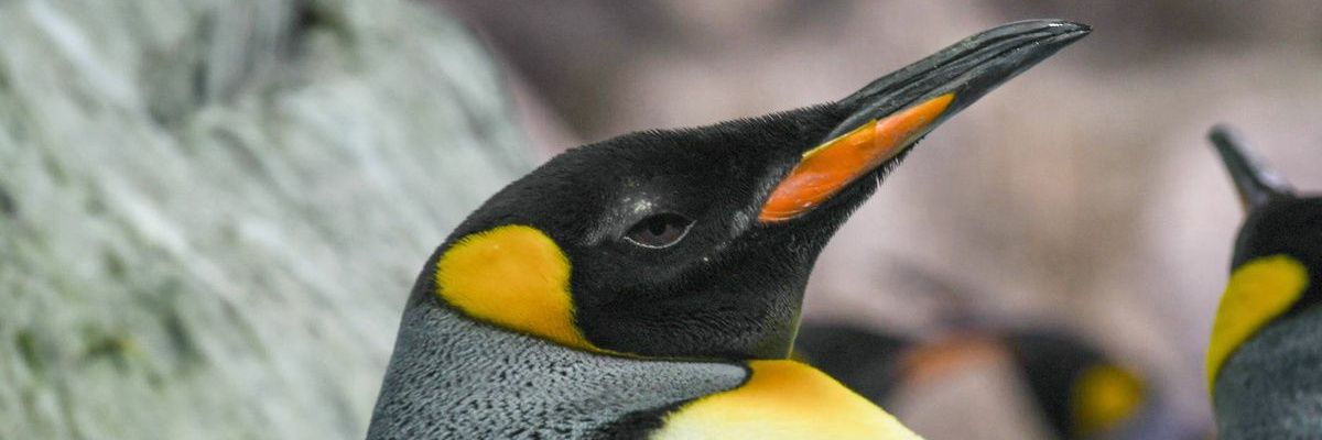 Dranishing's profile banner image