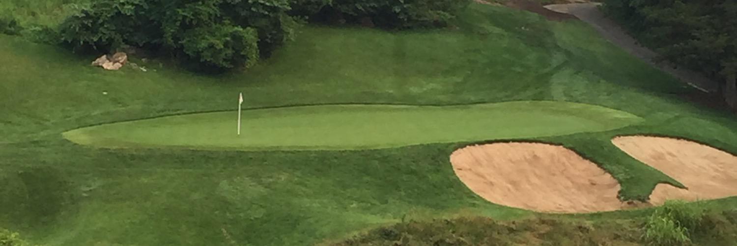 CCHS_Golfers's profile banner image
