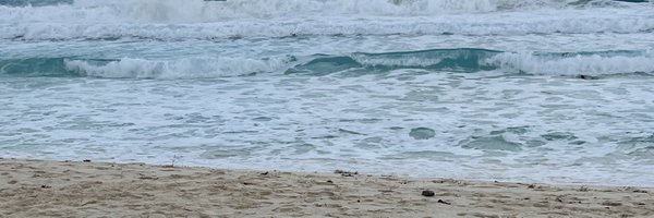 BrunettiJose Profile Banner