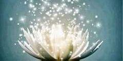 f845f460b9fa4f4's profile banner image