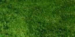 mnhsftbllbttls's profile banner image