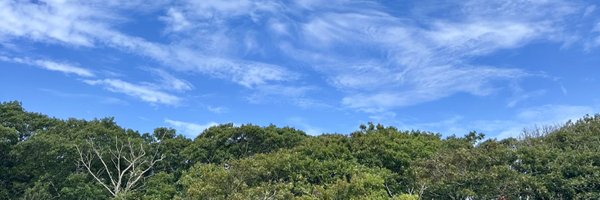 jwbernier Profile Banner