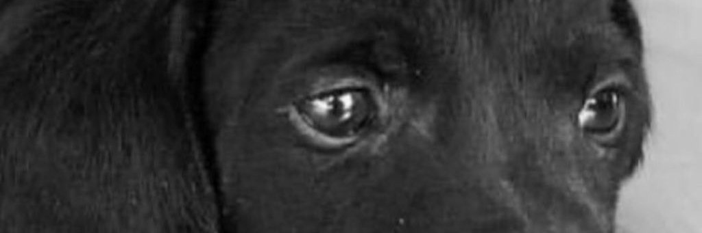 ferda879's profile banner image