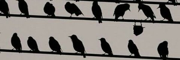 unfounded_r Profile Banner