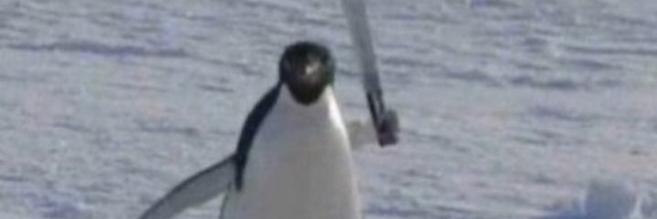 vitalruoth's profile banner image