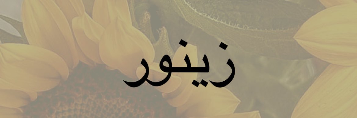 znnure's profile banner image