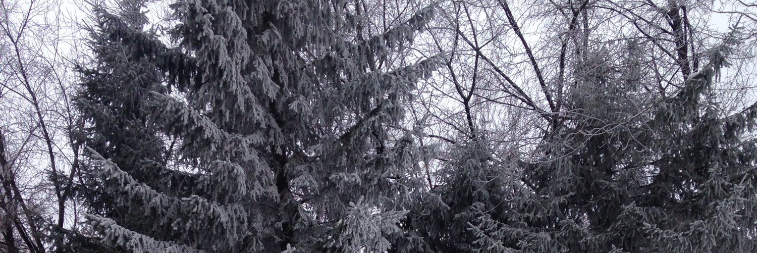 lianag001's profile banner image