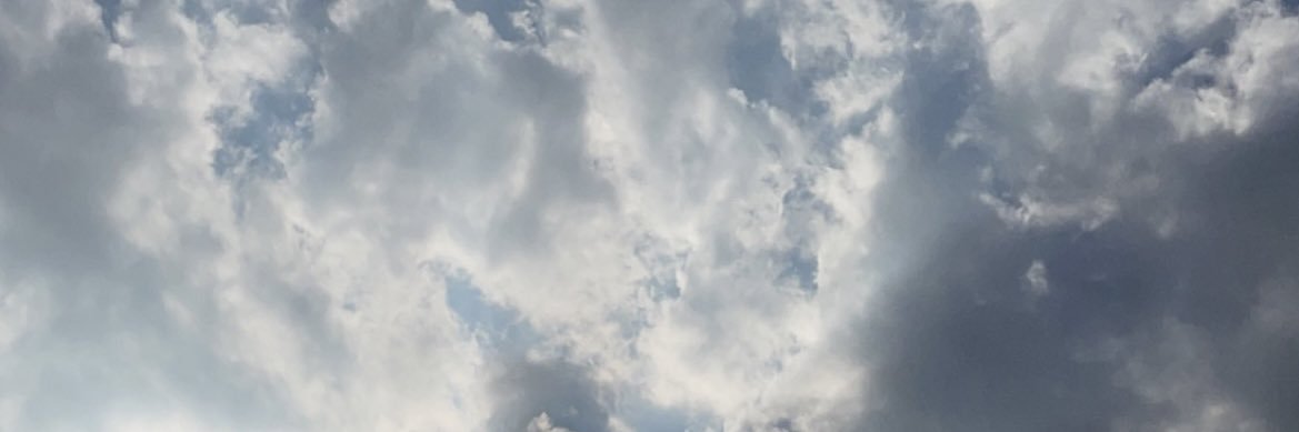سعديه الزهراني banner