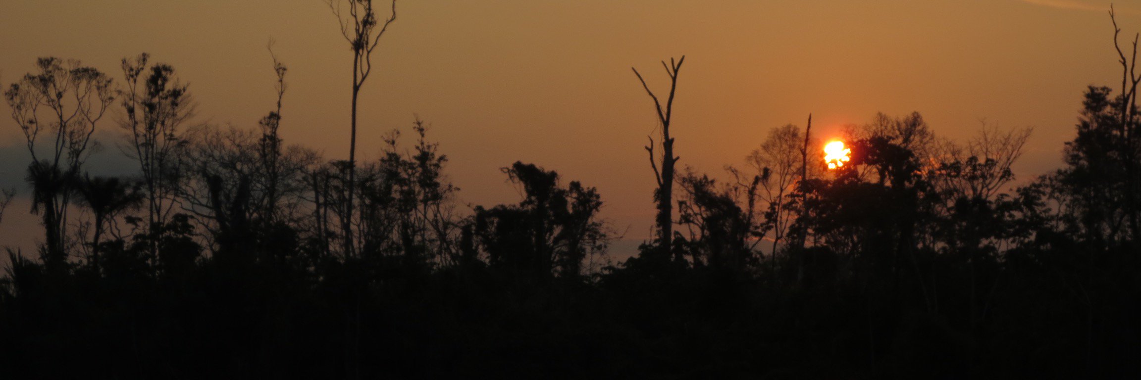 brunarag's profile banner image