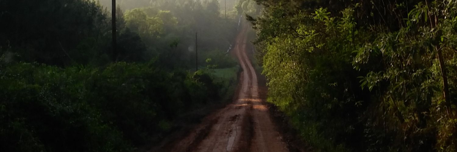MelloBrian6's profile banner image