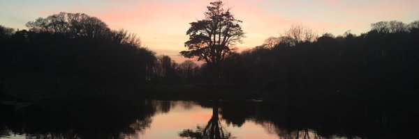 RogMull Profile Banner