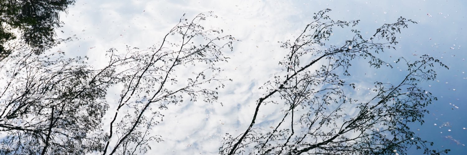 naoi_1983's profile banner image