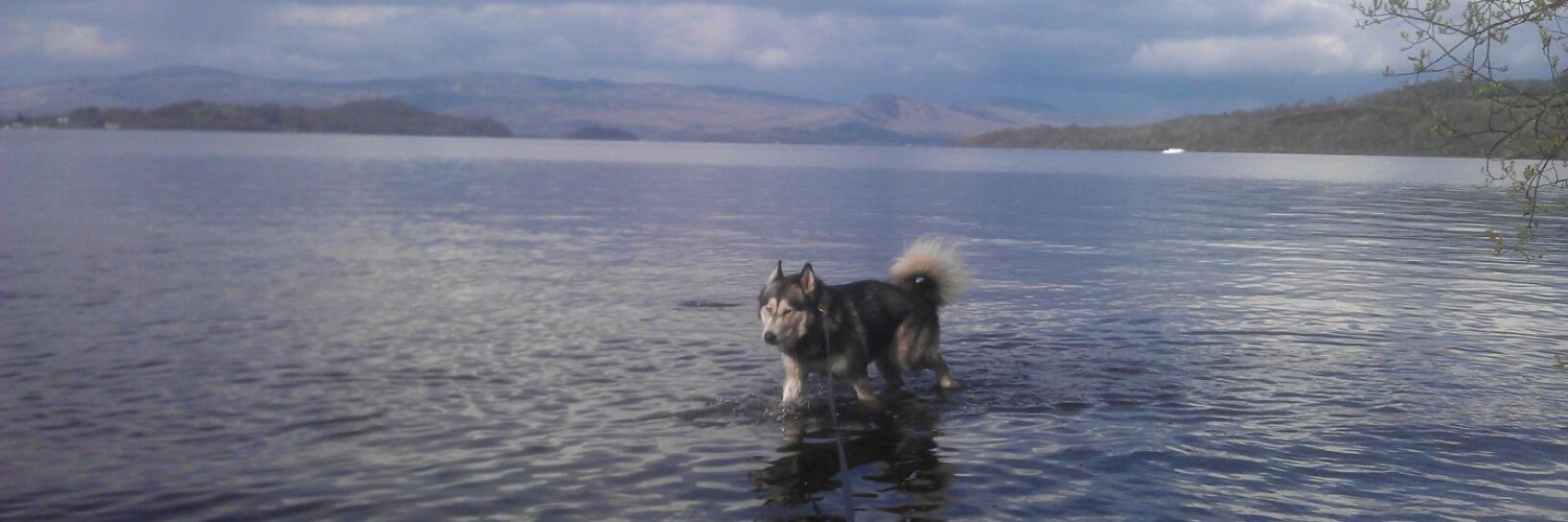 CallingMrJones banner