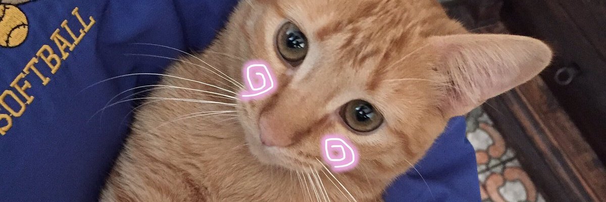 Genesislopez_A's profile banner image