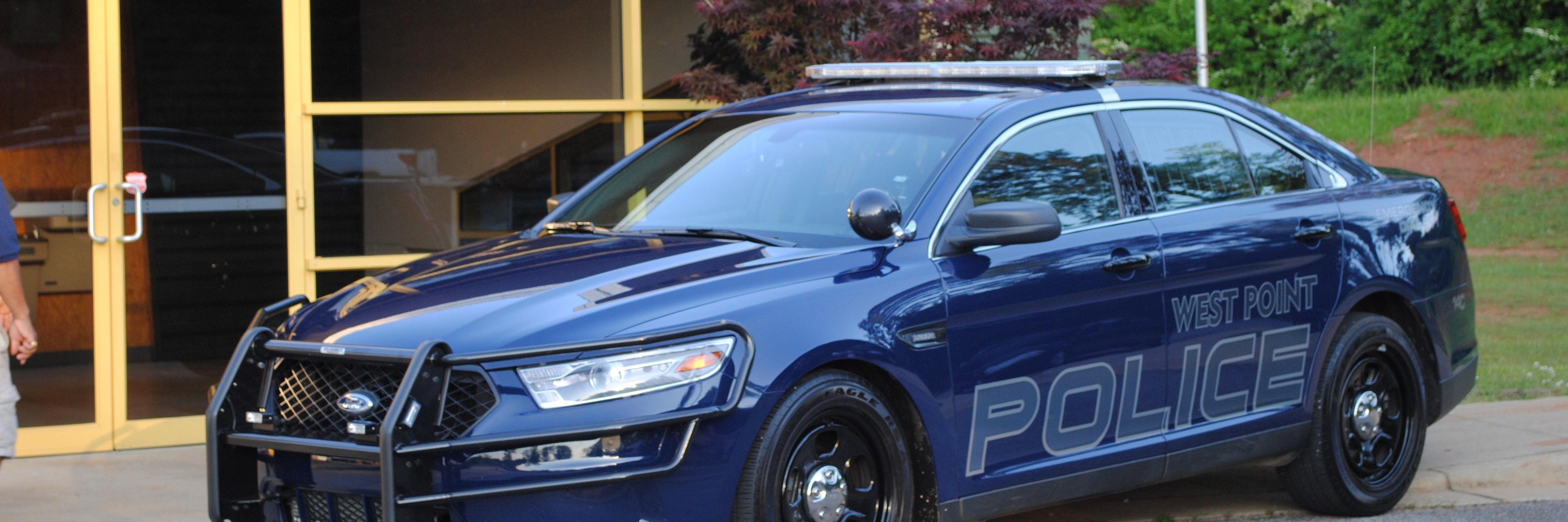 wppd1's profile banner image
