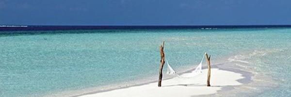 brandyh08's profile banner image