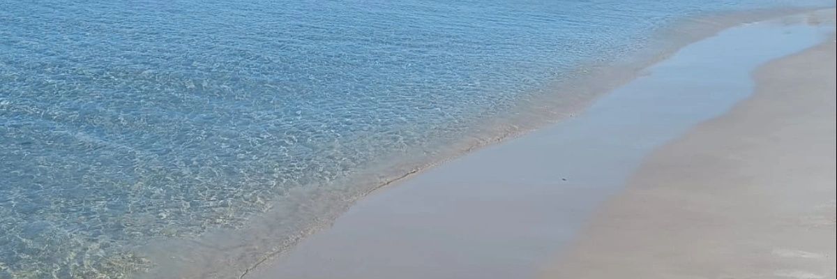 Bir_Dost35's profile banner image