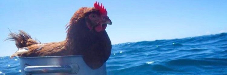lordredrock's profile banner image