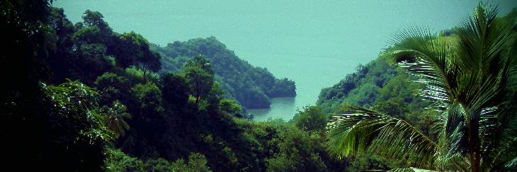 NGORoseHall's profile banner image