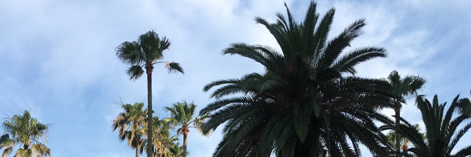 l8s2137's profile banner image