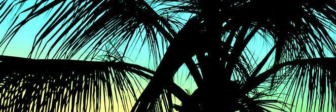 SellingM's profile banner image
