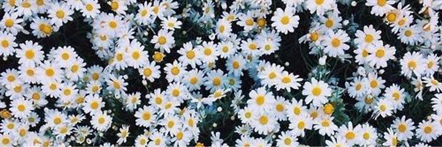 RafaellaSalcedo's profile banner image