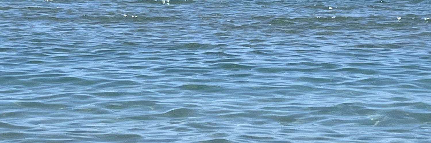 Periwimsnkle's profile banner image