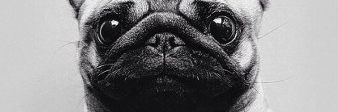 eaeaemma's profile banner image