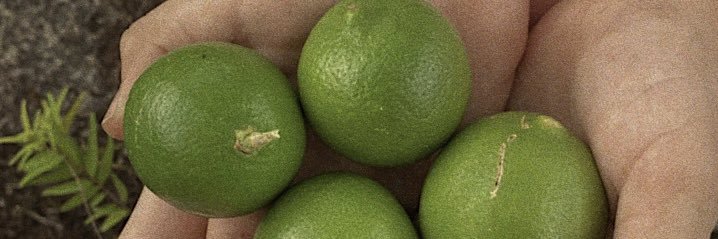 AlvaranBernal's profile banner image