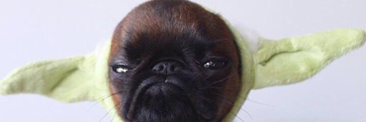 matichukoon's profile banner image