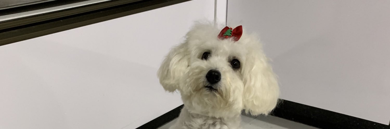 camilagaban's profile banner image