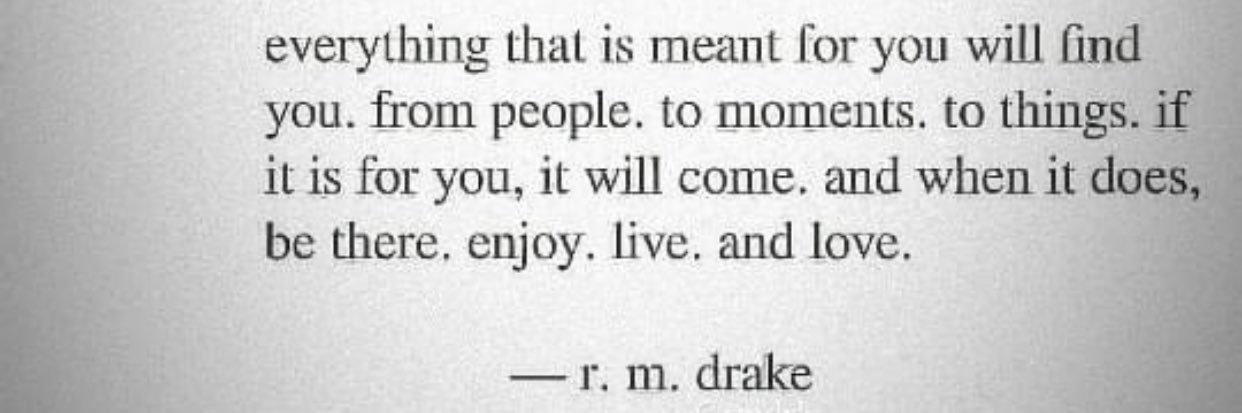 cellis641's profile banner image
