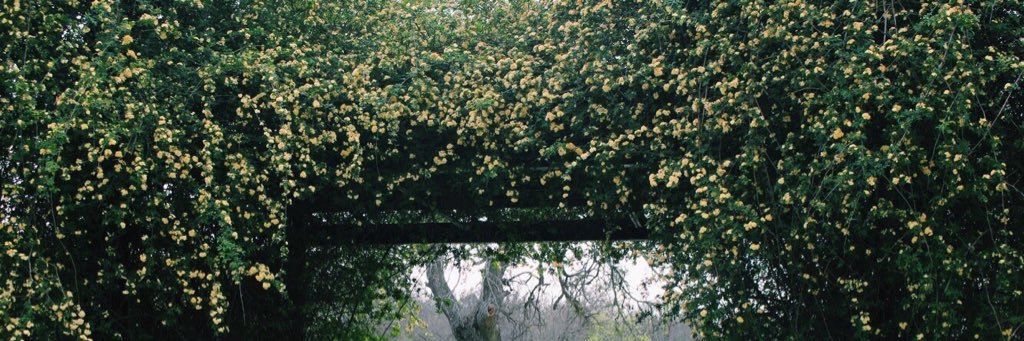 __steephh__'s profile banner image