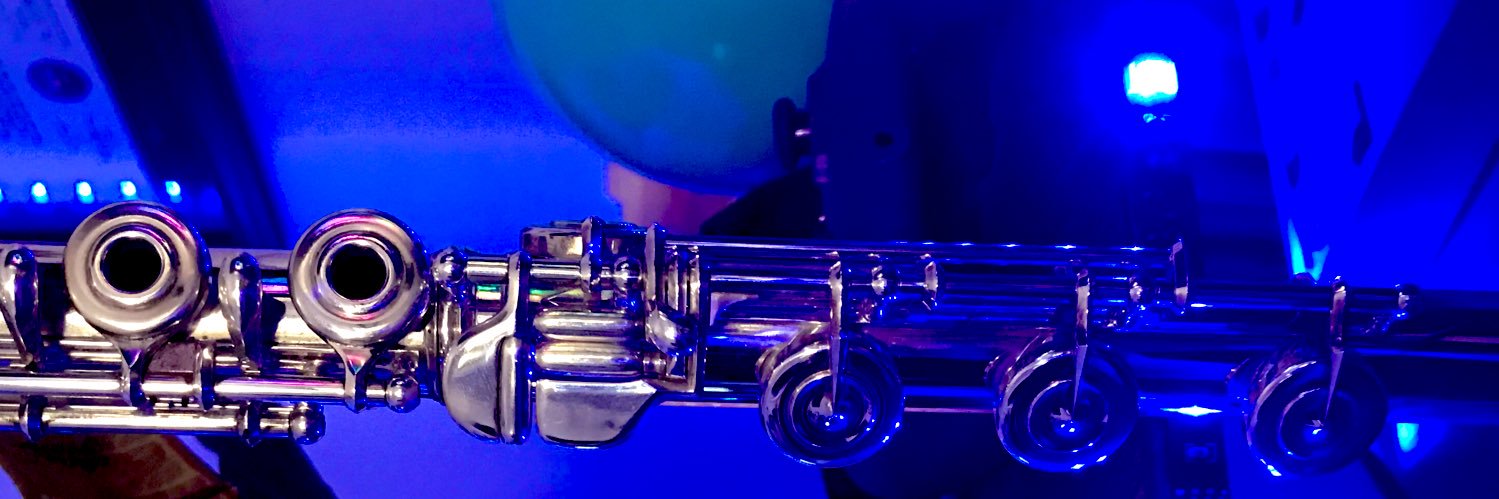 thatfluteguy's profile banner image