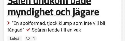 Joe Probiotic banner