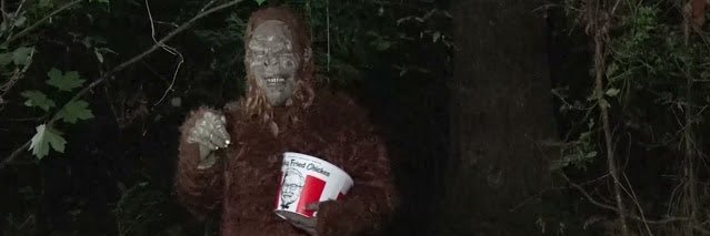PNWeird's profile banner image
