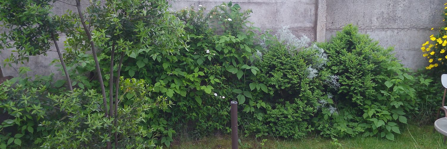 evillarroel_'s profile banner image