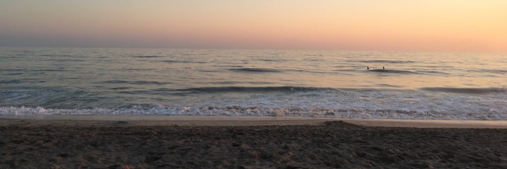 HappyHailey's profile banner image