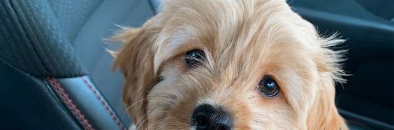 claraashley01's profile banner image
