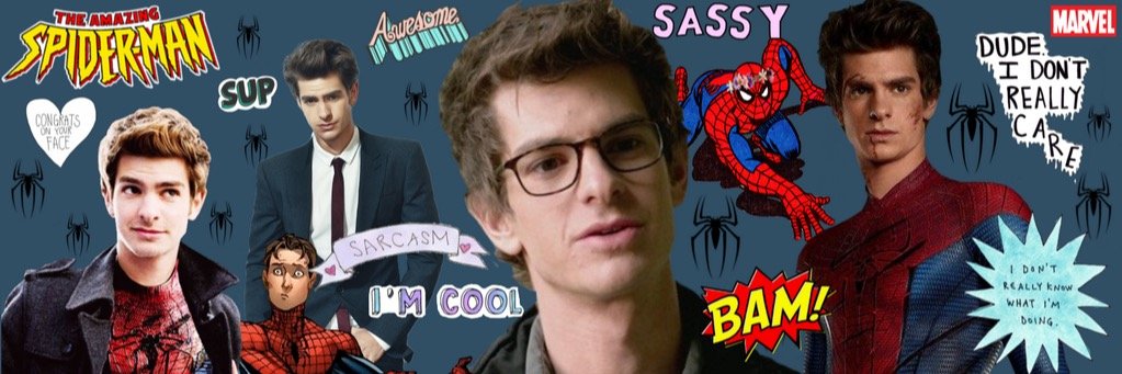 TheWebHeadd's profile banner image