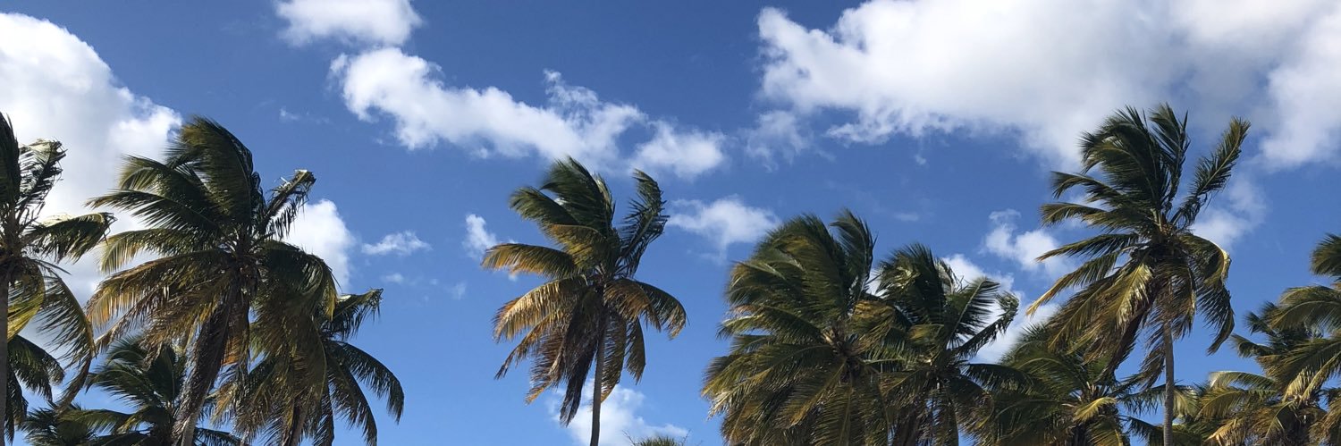 linelinecarol's profile banner image
