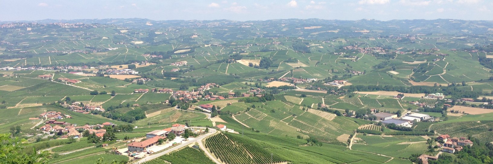 Nick Jackson MW banner