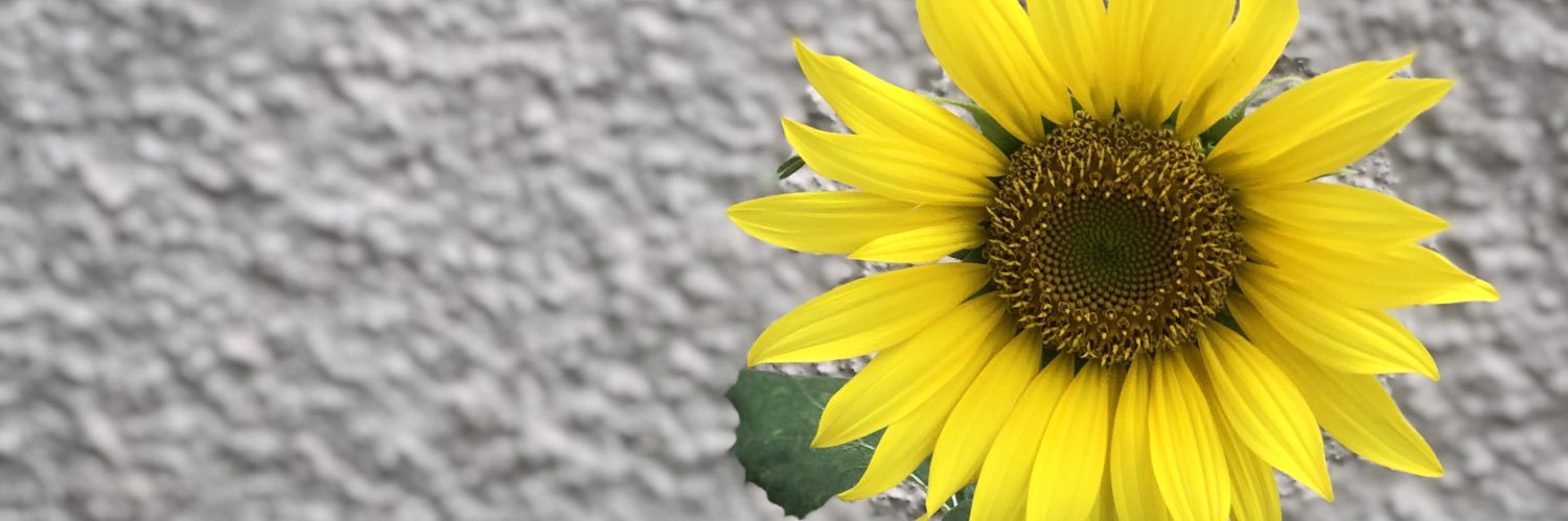 Ná banner