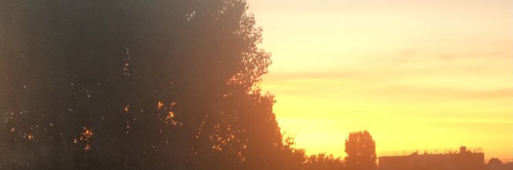 MlleX9's profile banner image