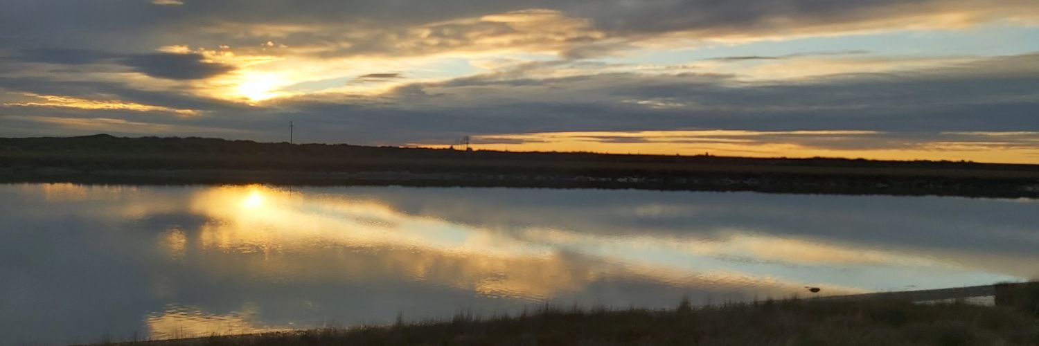 cuencadora's profile banner image
