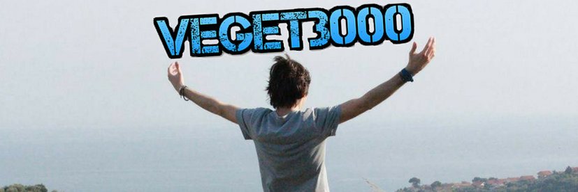 veget3000's profile banner image